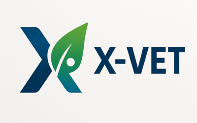 X-VET: disponibile gratuitamente il nuovo manuale per integrare la sostenibilità nella formazione professionale